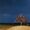 Australian landscape with a deep blue sky and orange trees on the hill in the foreground