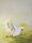 A flying cockatoo about to land in a yellow field.