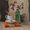 A bougainvillea in a green glass bottle alongside a a white tea cup resting on a penguin classic book.