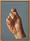 (CreativeWork) Hand study by Daevid Anderson. Oil. Shop online at Bluethumb.