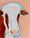 A vertical painting portrait of a brown and white cow on a peach background.