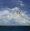 A pair of sea birds fly over the ocean in front of a large cloud mass. 