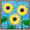 3 yellow textured sunflowers on a blue background with floating frame