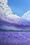 Impressionist landscape by Tania FitzGerald. Lavender fields and hills under purple clouds