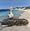 Pelican on beach on Rottnest Island