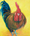 (CreativeWork) WINSTON - ROOSTER by Jan Matson. Oil. Shop online at Bluethumb.