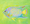 brilliantly colourful tropical fish on a lime background 