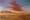 (CreativeWork) GREAT SANDY DESERT #3 by Matt Symons. Oil. Shop online at Bluethumb.