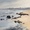 Beach covered in salt spray, with rocks.
