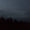 dark shadow trees against a dark blue sky