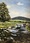 Cows crossing a creek in the countryside.
