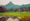 (CreativeWork) View Across Cooroy by Rod Moore. Acrylic. Shop online at Bluethumb.