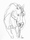 (CreativeWork) Don't Let Go - Equine by Irma Calabrese. Drawing. Shop online at Bluethumb.