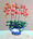 Coral Orchids in Blue-White Pot 