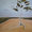 The painting depicts a Tree Portrait showing its roots growing out of the sand in Outback Australia.  It appears to be dancing across the sand. 