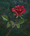 red rose flower and stem