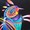 (CreativeWork) Rainbow parrot by Anne Tompson. Acrylic. Shop online at Bluethumb.