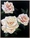 (CreativeWork) Luscious Roses by Ashley Bunting. Oil. Shop online at Bluethumb.