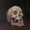 (CreativeWork) Skull by Jemma Cakebread. Oil. Shop online at Bluethumb.