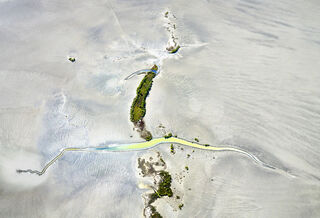 TIdal creek and vegetation in the Northern Territory