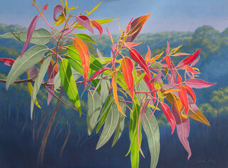 Colurful eucalyptus leaves against a background of blue mountains.