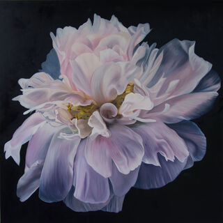 Eternity  is an original still life oil painting of a luminous peonie by Nicole Reed 