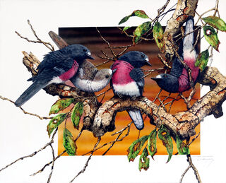 4 Robins on a branch with an orange background