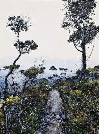 Pathway through mist and wildflowers. 