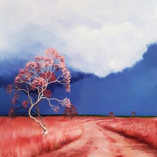 Australian landscape in pinks and reds with a dark blue sky and clouds