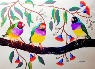 Three Gouldian Finches perched on a Gum tree branch.