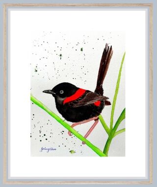 A Red-backed Fairywren perched on a grass.