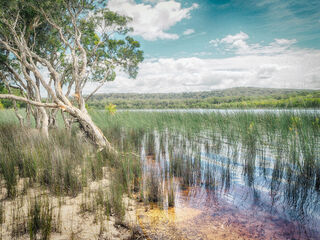 Brown Lake on Stradbroke Island