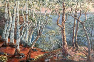 Giant forest trees reach skywards, looking across theBlue Mountains escarpment and valleys in Katoomba, Blue Mountains, Australia. 