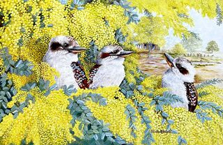 A family of three Kookaburras' feature in this painting. They are nestled in amongst the golden blossoms of the Cootamundra wattle tree. There is an old shed in the background and some old broken down fences and an old gate, reflecting an era that has long past. It has been raining and there are puddles on the ground, some reflecting the trees and shrubs that surround them.