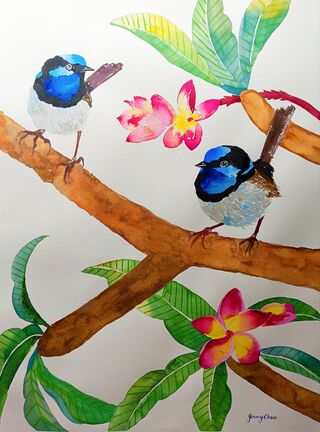 Two superb fairy wrens sitting on a frangipani tree with pink and yellow flowers.