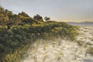 Creamy sand dunes with flowing grasses and shrubs on the beach