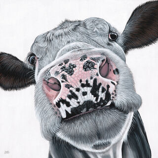 Missy Moo Reproduction Print on Canvas by Anne-Marie Bloor