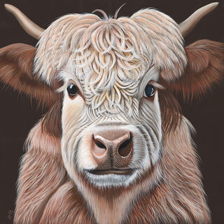 Daisy Highland Cow Giclee Reproduction Print on Canvas by Anne-Marie Bloor