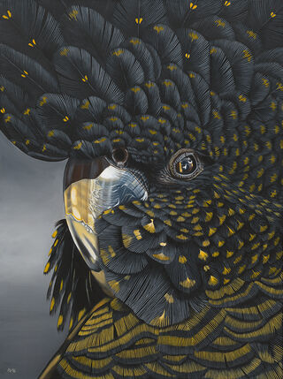 Goldie - Black Cockatoo Giclée Canvas Art Print by Anne-Marie Bloor