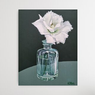 A white rose in full bloom in a glass vase; on a background of dark green up the top and sage green on the bottom with a curved line dividing the top and bottom. 