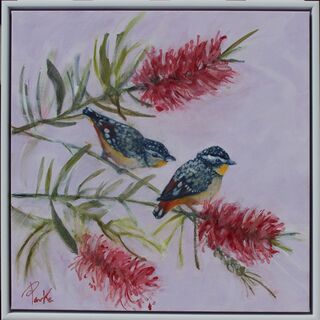 Two Pardalotes or peep-wrens on a Red bottle brush branch