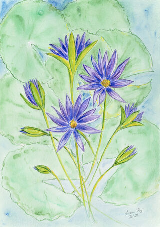 Blue water lilies. Egyptian flower from the Nile River. Watercolour water lily.