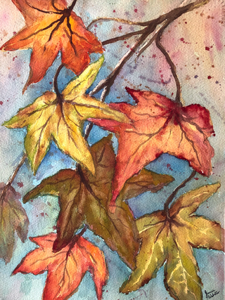 The varied coloured autumn leaves in yellow/greens, oranges and pinks on bluish background.