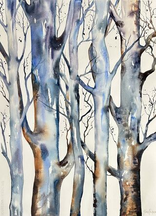 Several tree trunks and twisted branches with lovely light blues and browns, patterns and mixes of colours