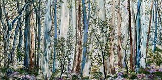 Giant blue toned eucalyptus tree forest with ferny undergrowth.