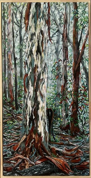 Tall colourful large foreground eucalyptus tree with orange bark and soft forest background.