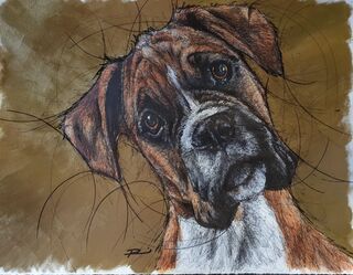 portrait of a sweet faced tan and white boxer breed of dog with a gold background 