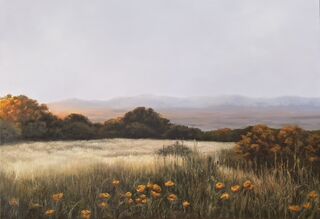 Sunlit field with wild grasses and orange flowers