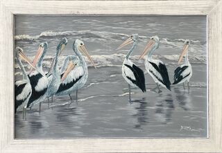 A group of Australian Pelicans.