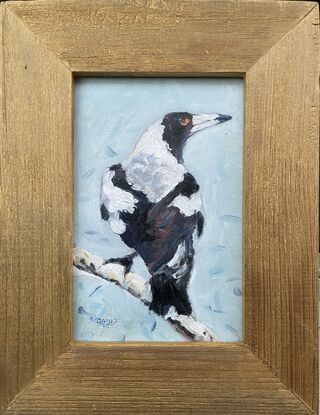 Vibrant Australian Magpie oil painting in gold frame. Certificate of authenticity included. Perfect for bringing nature's beauty into any space.